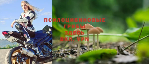 шишки Нязепетровск
