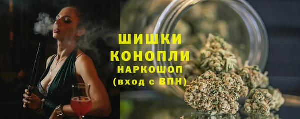 шишки Нязепетровск