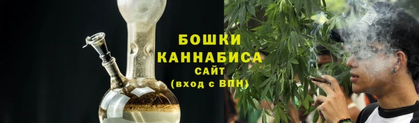 шишки Нязепетровск