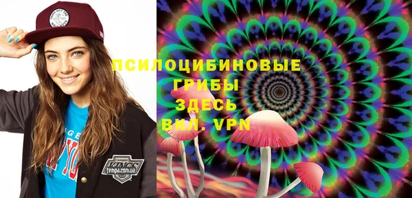 шишки Нязепетровск