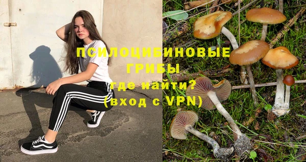 шишки Нязепетровск