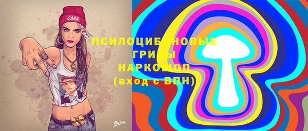 шишки Нязепетровск
