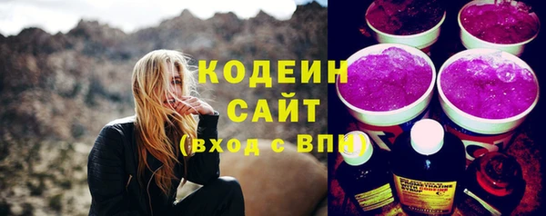 шишки Нязепетровск
