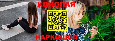 прущие крисы Гатчина