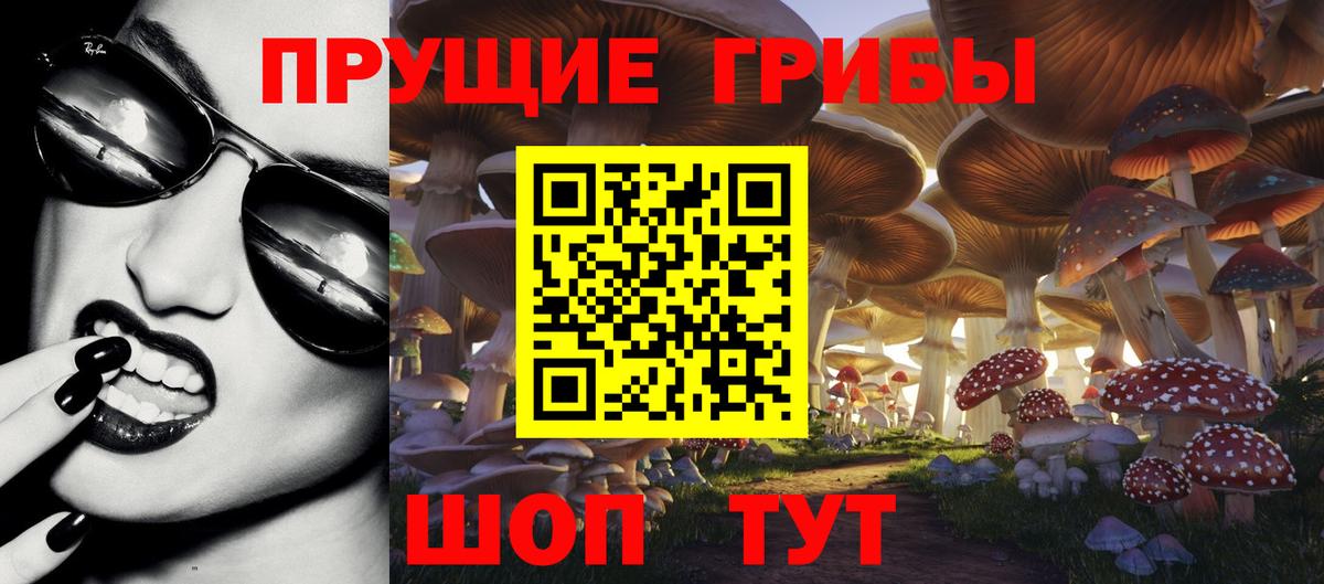 Галлюциногенные грибы MAGIC MUSHROOMS  Вход с VPN  Краснокаменск 